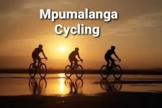 cyclist-on-a-sunset-background