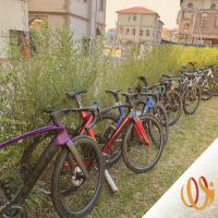 trek bicycles